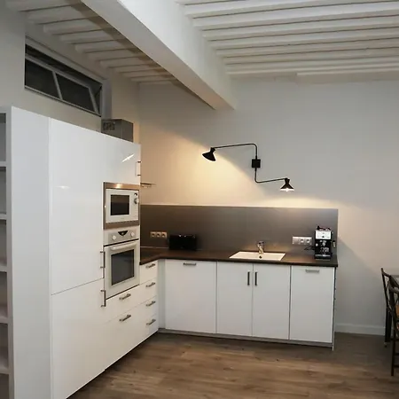 55 M2 Apart With Big Terrace In Annecy Downtown Exterior foto