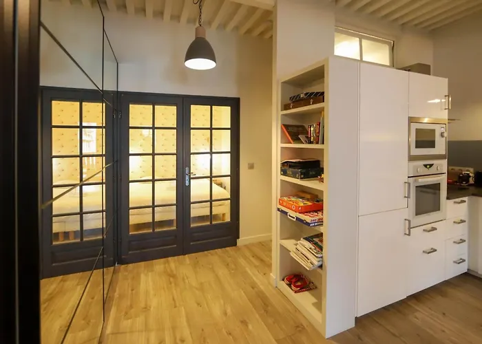 55 M2 Apart With Big Terrace In Annecy Downtown